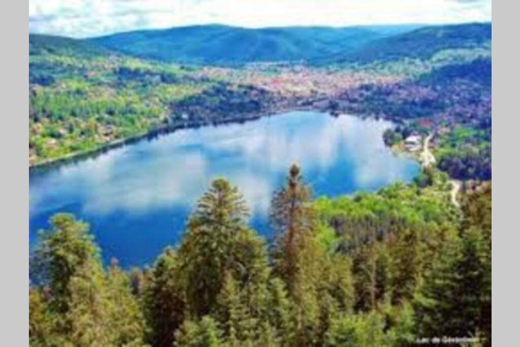 Chalet Charligustine - Gerardmer - 8P Εξωτερικό φωτογραφία